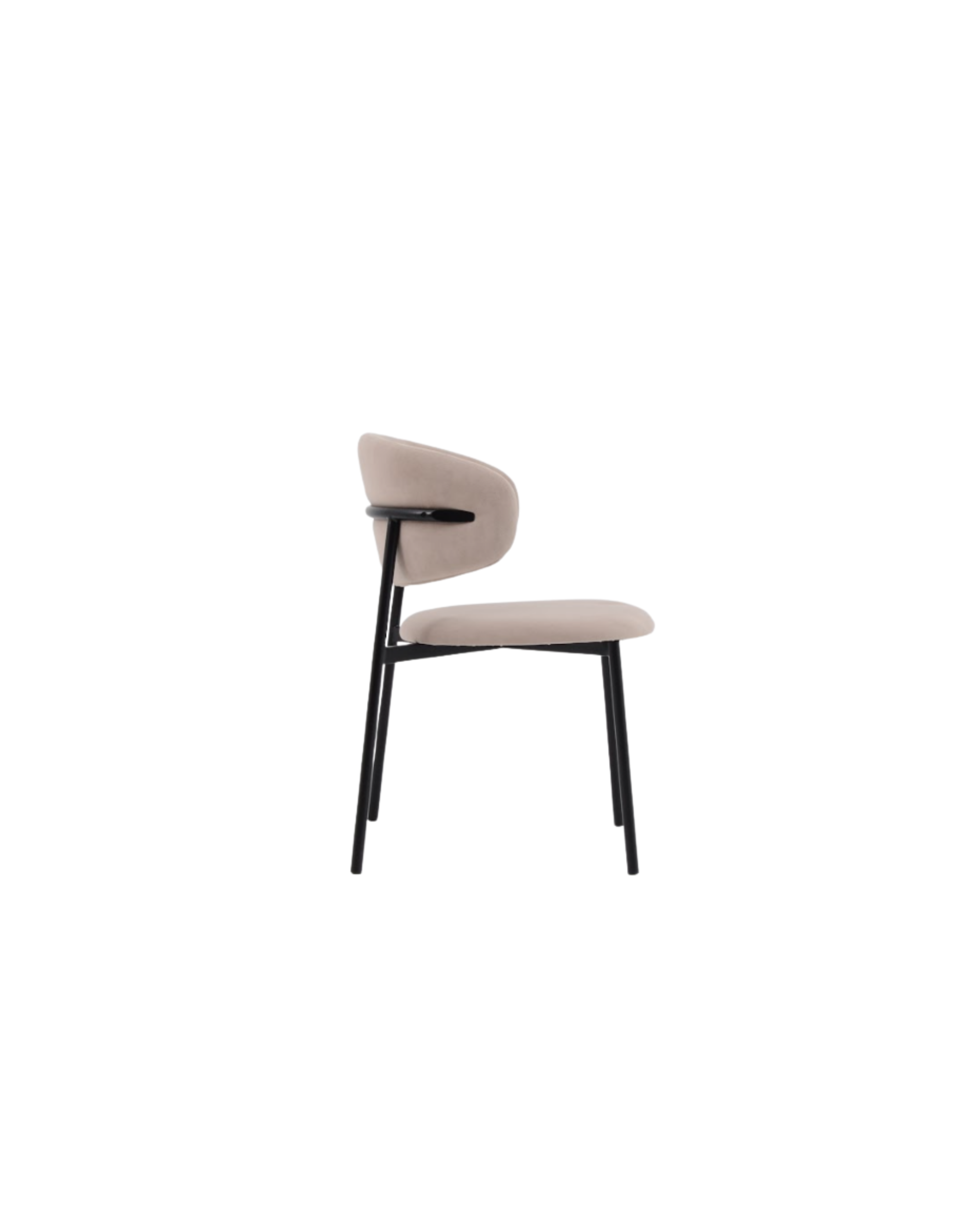 Scout Dining Chair - Set of 2