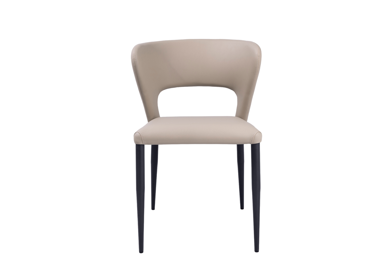 Pari II Dining Chair - Set of 2 - Grey