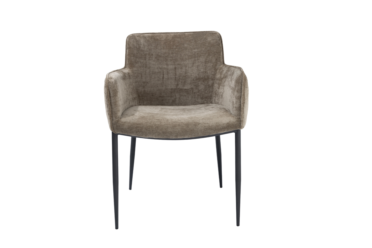 Kim Dining Chair - Gisele Olive