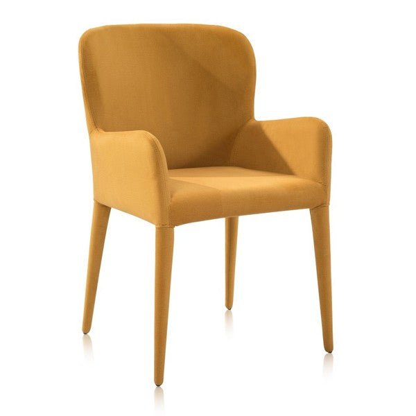 Aviano Arm Chair