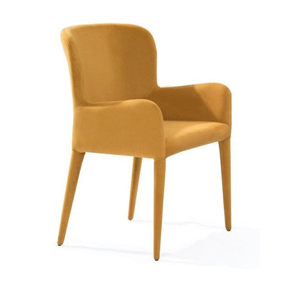 Aviano Arm Chair